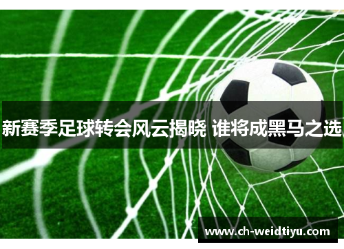 新赛季足球转会风云揭晓 谁将成黑马之选